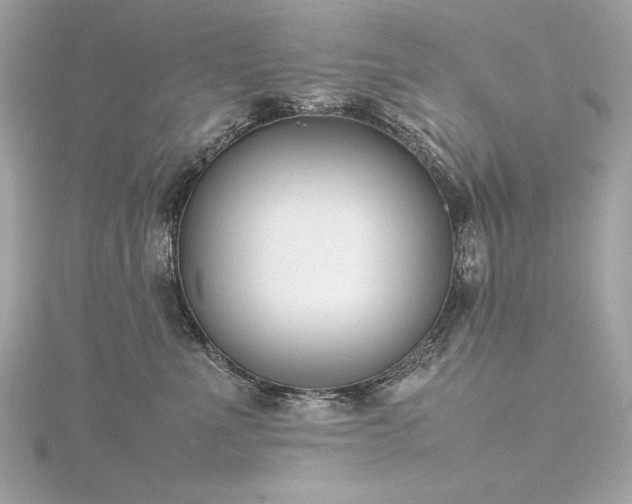 X0000116350523200912011413