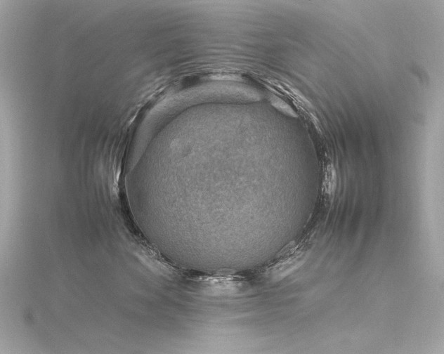 X0000116350524200912011413