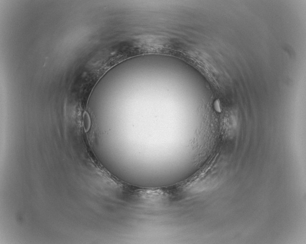 X0000116350525200912011413