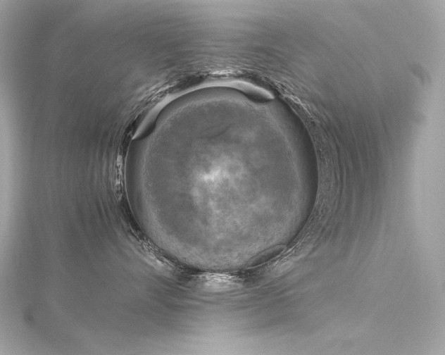 X0000116350528200912011413