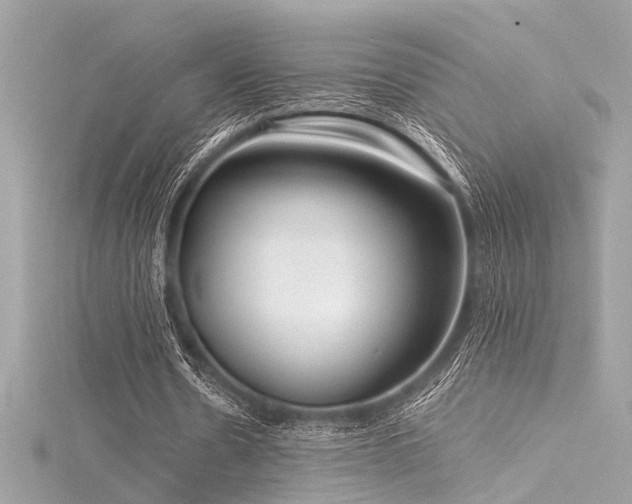 X0000116350530200912011412