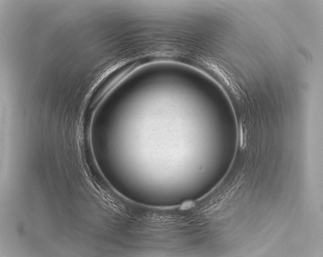 X0000116350531200912011412