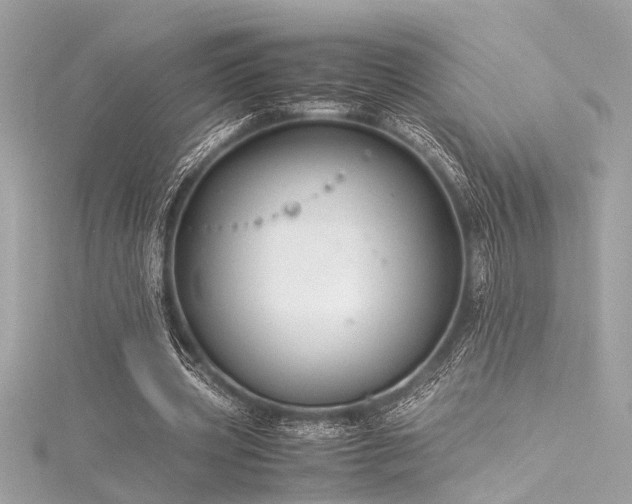 X0000116350533200912011412