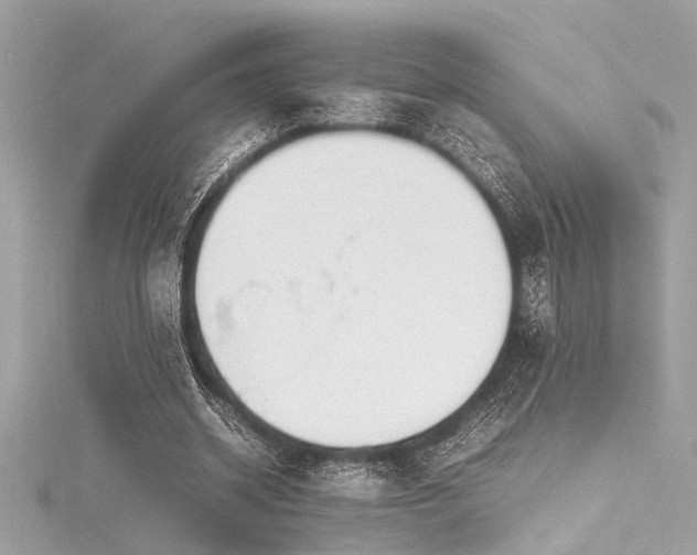 X0000116350534200912011412