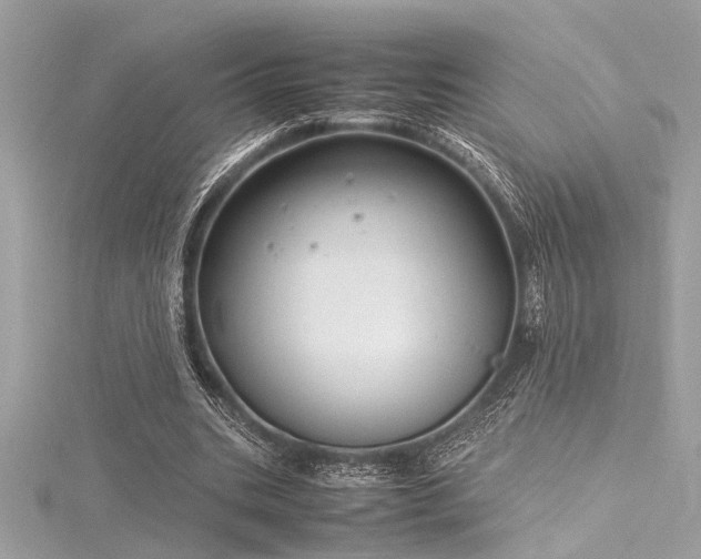 X0000116350535200912011412