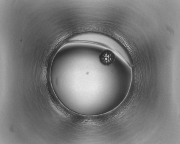 X0000116350538200912011412