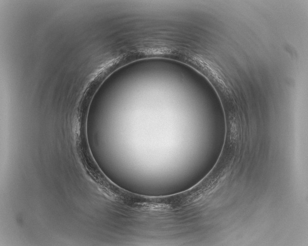 X0000116350539200912011412