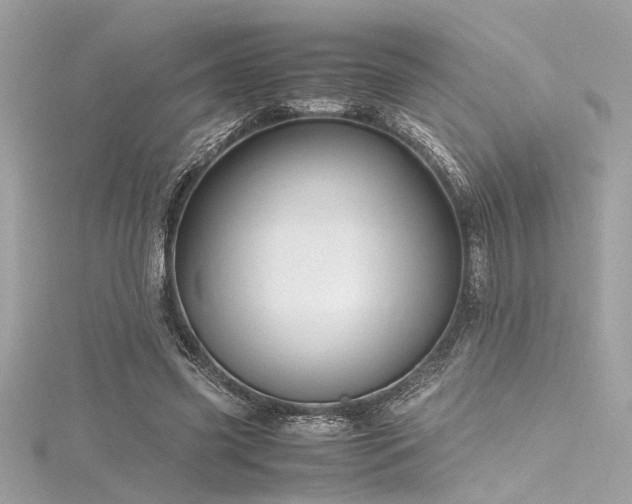 X0000116350541200912011412