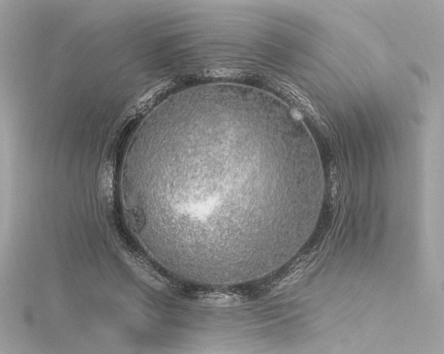 X0000116350542200912011412