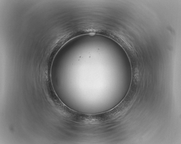 X0000116350547200912011412