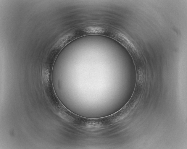 X0000116350549200912011412