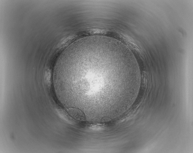 X0000116350550200912011412