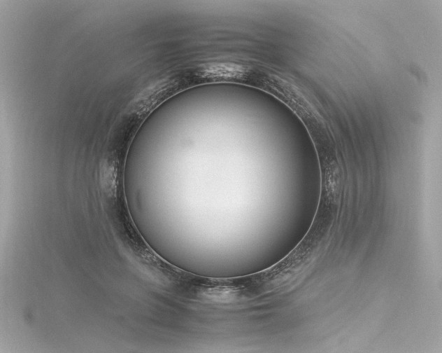 X0000116350551200912011412