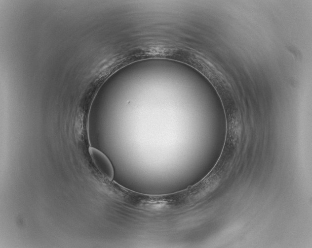 X0000116350554200912011412