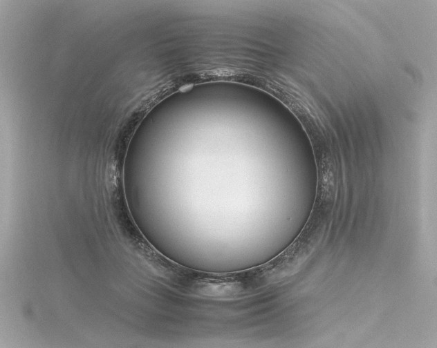 X0000116350555200912011412