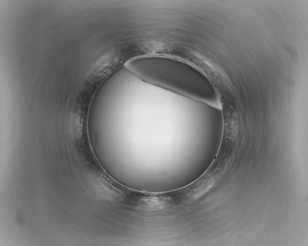 X0000116350558200912011412