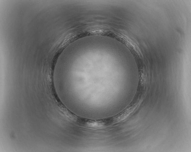 X0000116350561200912011413