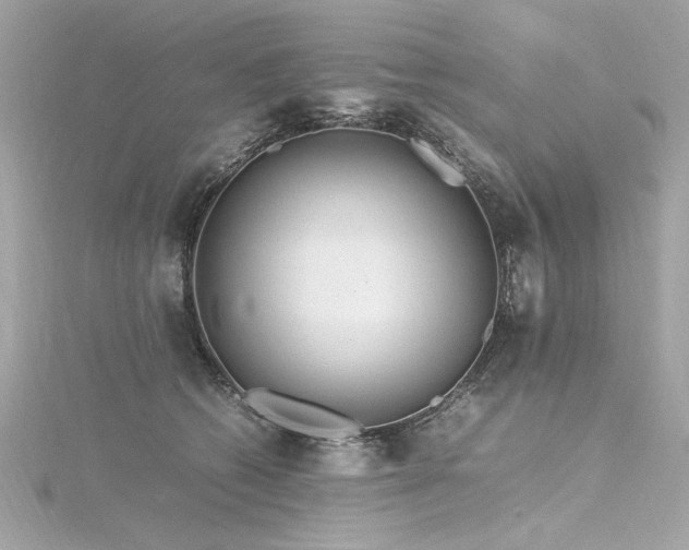 X0000116350562200912011413