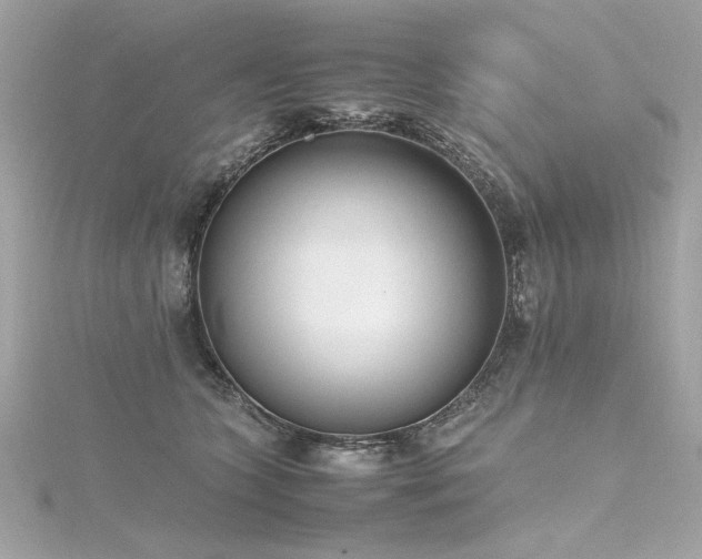 X0000116350563200912011413