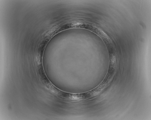 X0000116350565200912011413