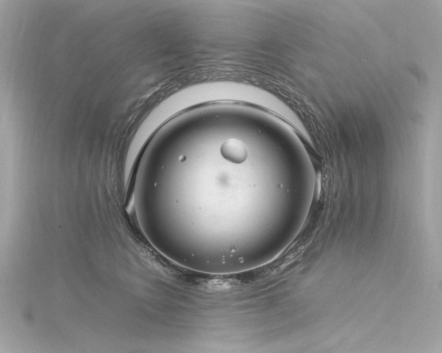 X0000116350566200912011413