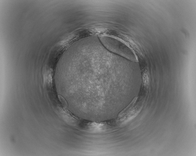 X0000116350570200912011413