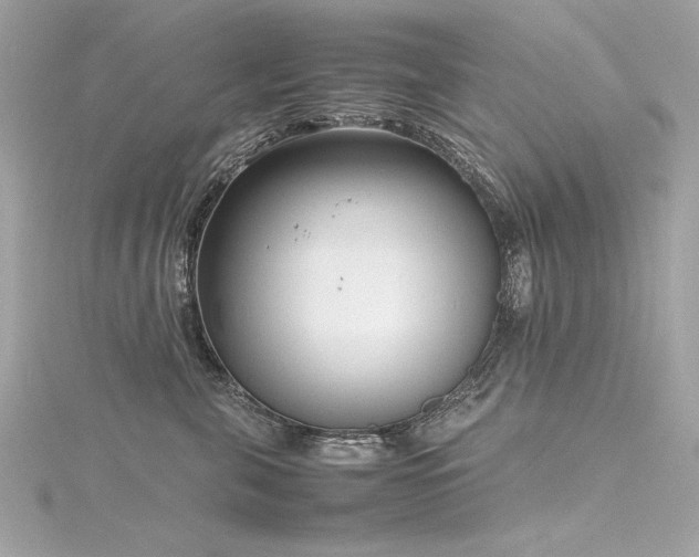 X0000116350571200912011413