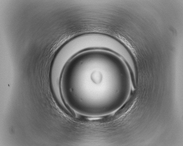 X0000116350577200912011412