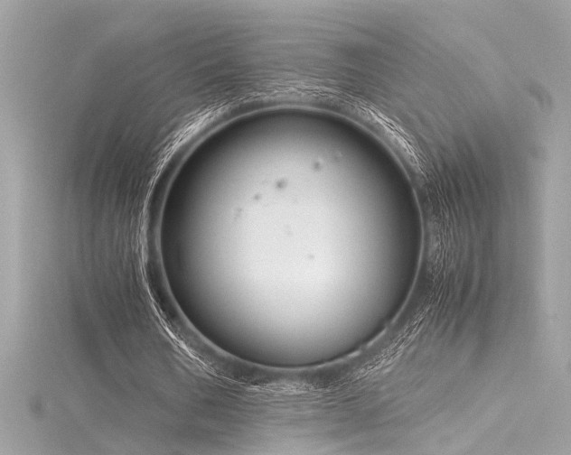 X0000116350578200912011412