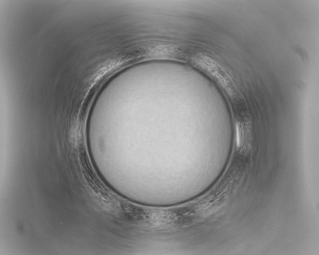 X0000116350579200912011412