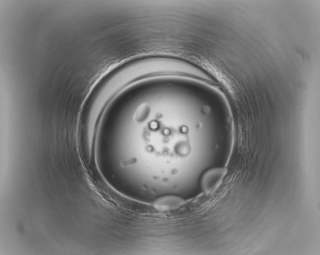 X0000116350580200912011412