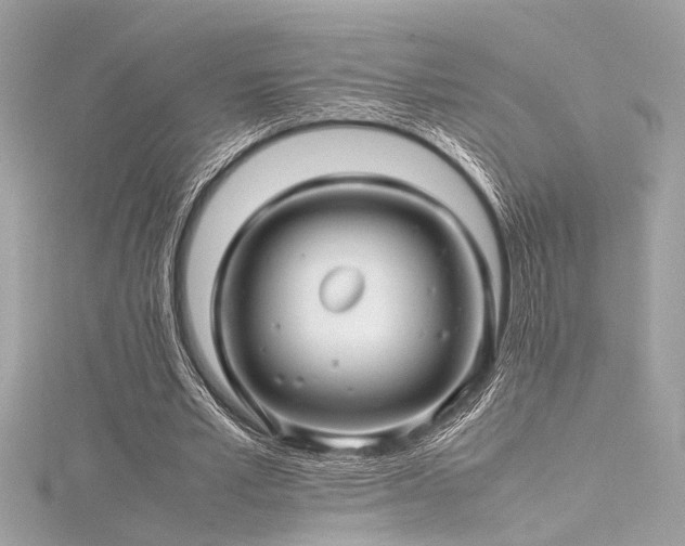 X0000116350581200912011412