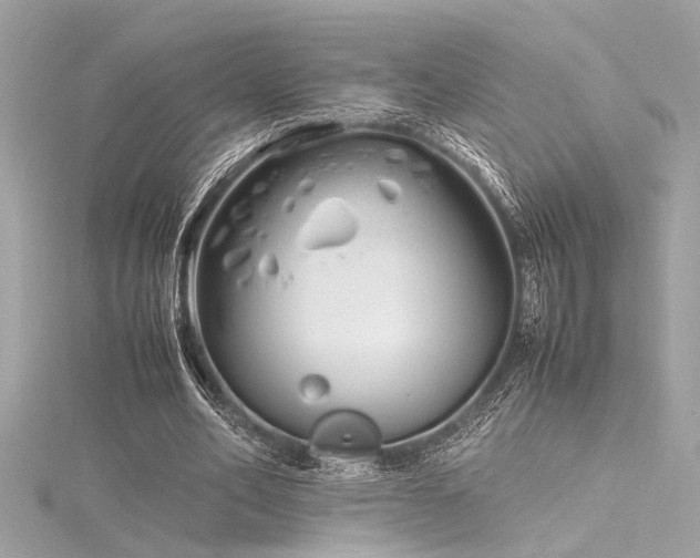 X0000116350582200912011412