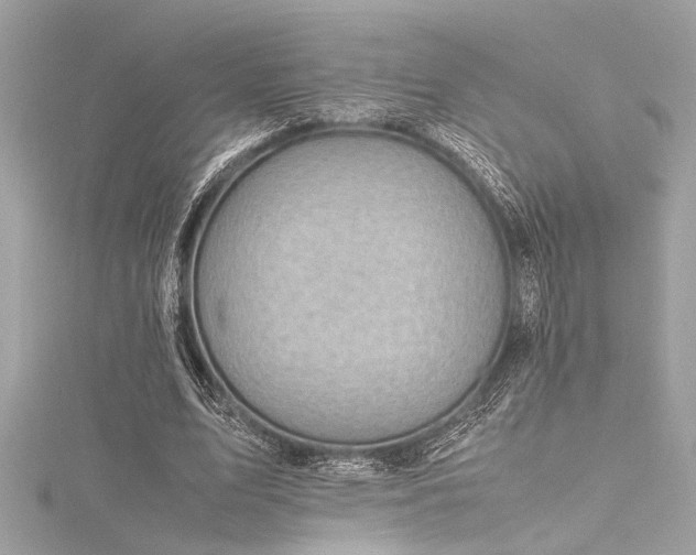 X0000116350583200912011412