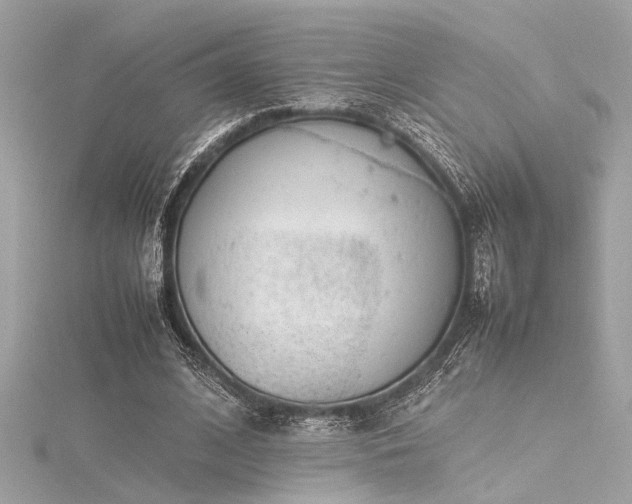 X0000116350584200912011412