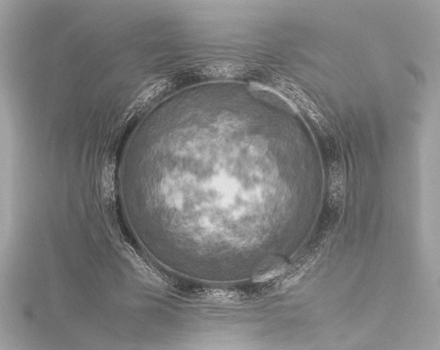 X0000116350585200912011412