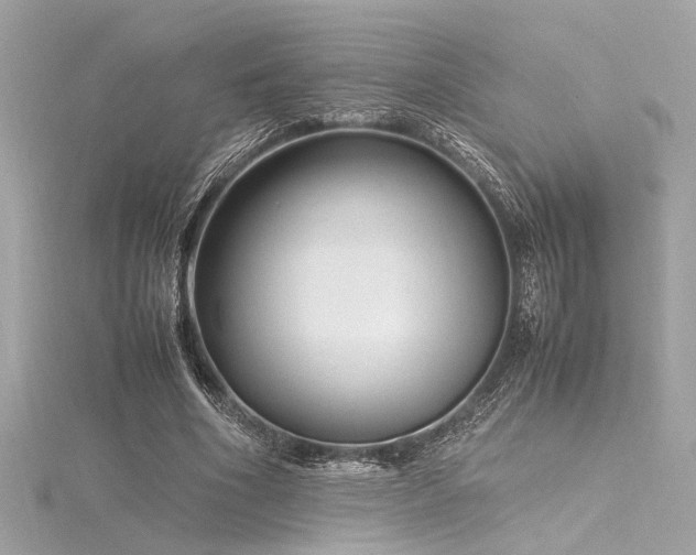 X0000116350586200912011412