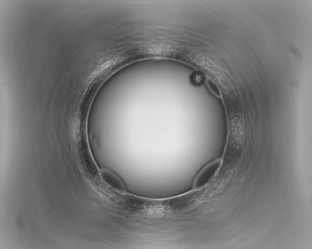 X0000116350587200912011412