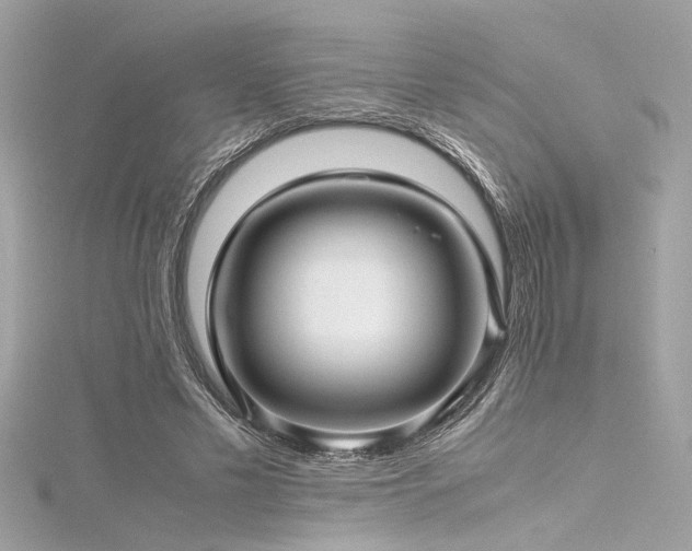 X0000116350589200912011412