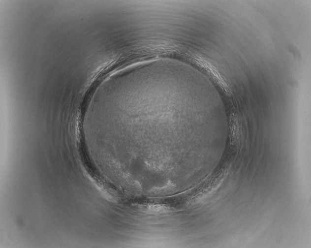 X0000116350590200912011412