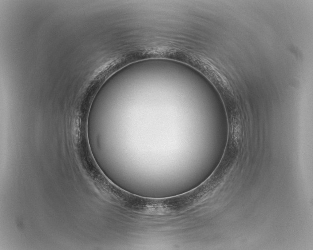 X0000116350591200912011412