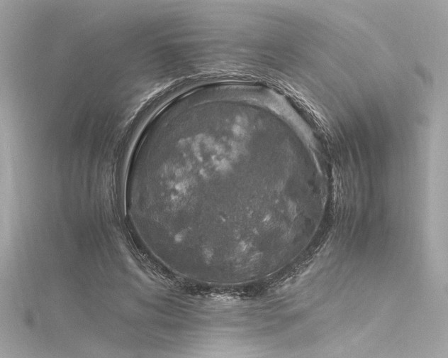 X0000116350592200912011412