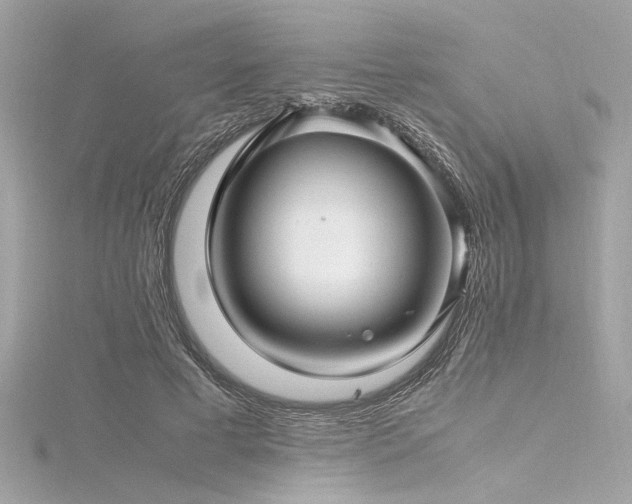 X0000116350593200912011412