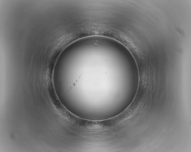 X0000116350594200912011412