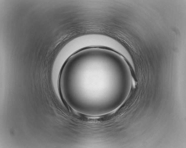 X0000116350595200912011412