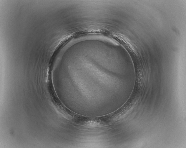 X0000116350596200912011412