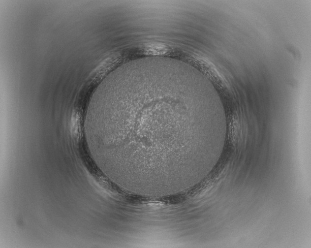 X0000116350598200912011412