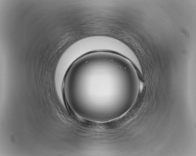 X0000116350599200912011412