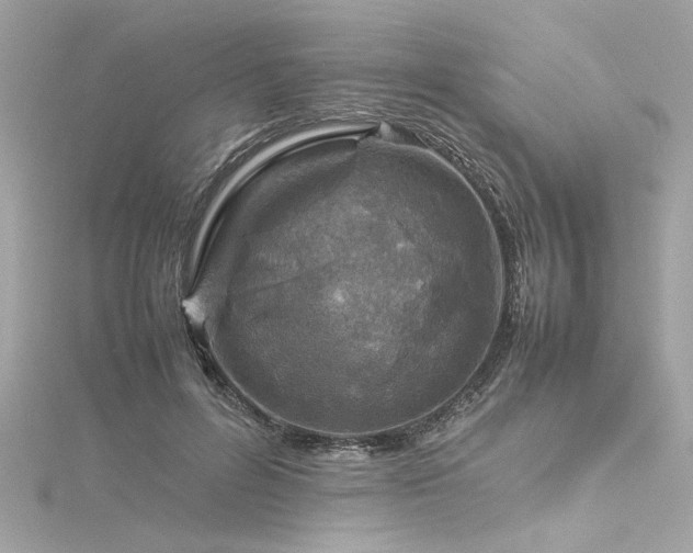 X0000116350600200912011412