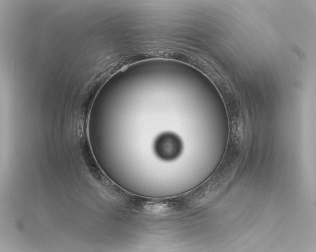 X0000116350602200912011412